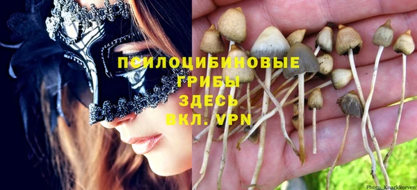 COCAINE Белокуриха