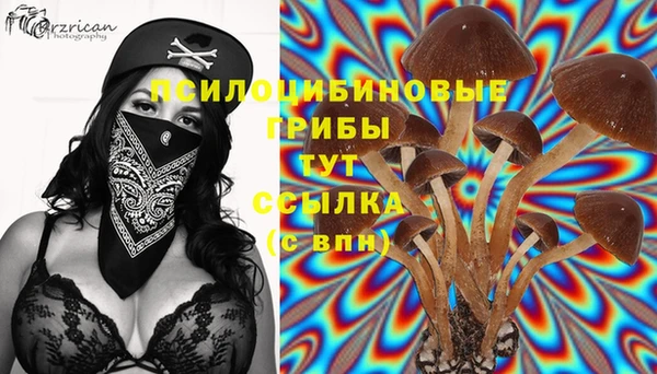 хмурый Белоозёрский
