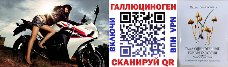 Галлюциногенные грибы Psilocybine cubensis  купить наркотики сайты  Камень-на-Оби 